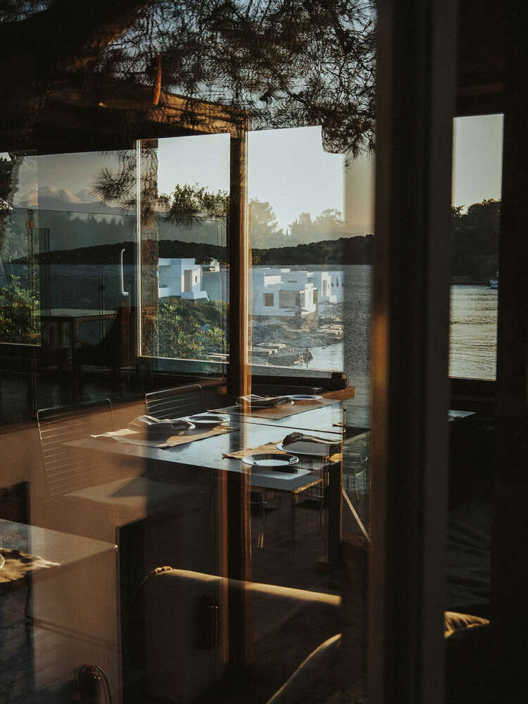 Visual Arts (Visual Arts)