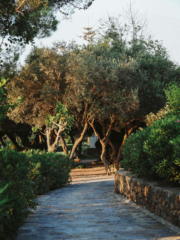 Visual Arts (Visual Arts)