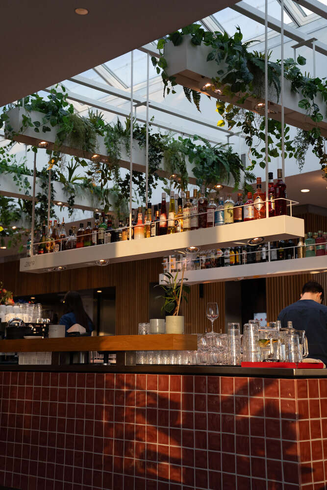 Visual Arts (Visual Arts)