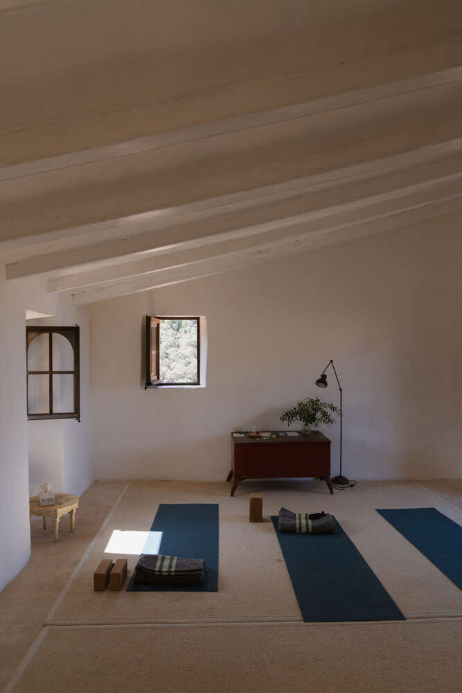 Visual Arts (Visual Arts)