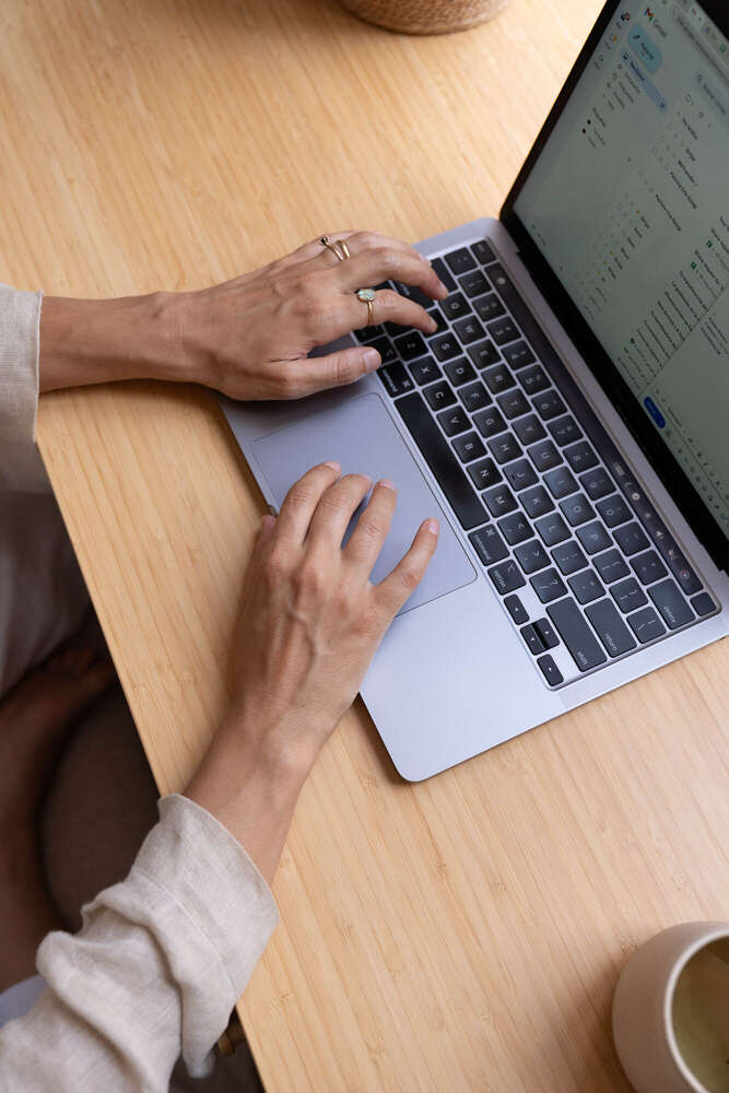 Visual Arts (Visual Arts)