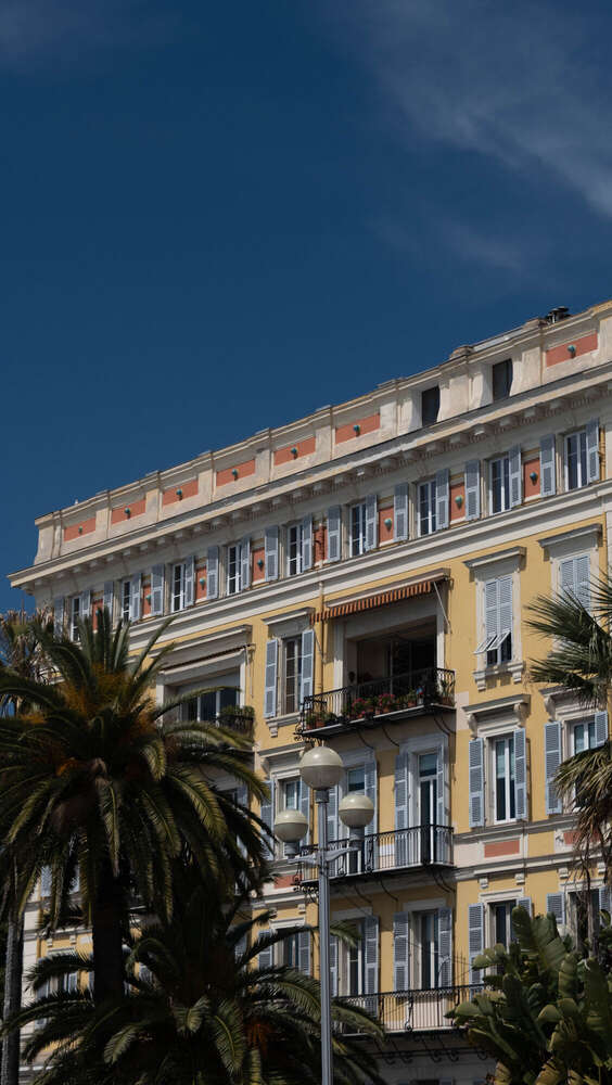 Visual Arts (Visual Arts)