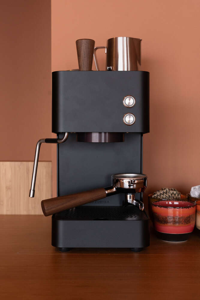 Visual Arts (Visual Arts)