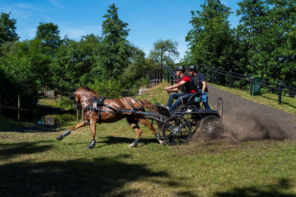 GreenYard-Art (GreenYard-Art)