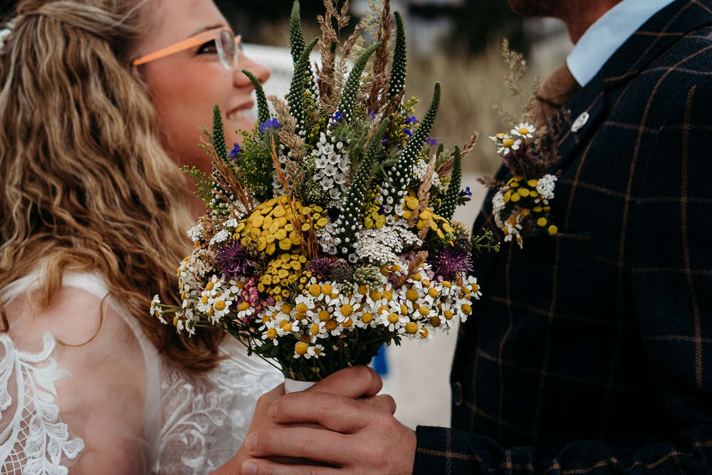 Rügenlinse (Rügenlinse)