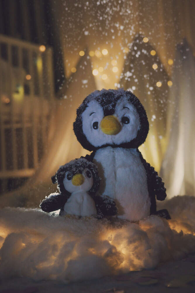 Anastasiia Melnikova