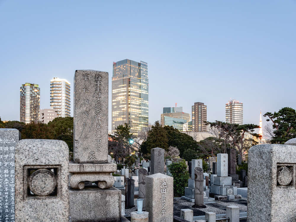 FOTOGRAFIE maximilian gottwald (FOTOGRAFIE maximilian gottwald)