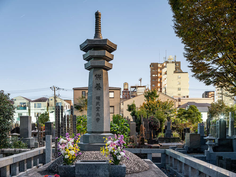 FOTOGRAFIE maximilian gottwald (FOTOGRAFIE maximilian gottwald)