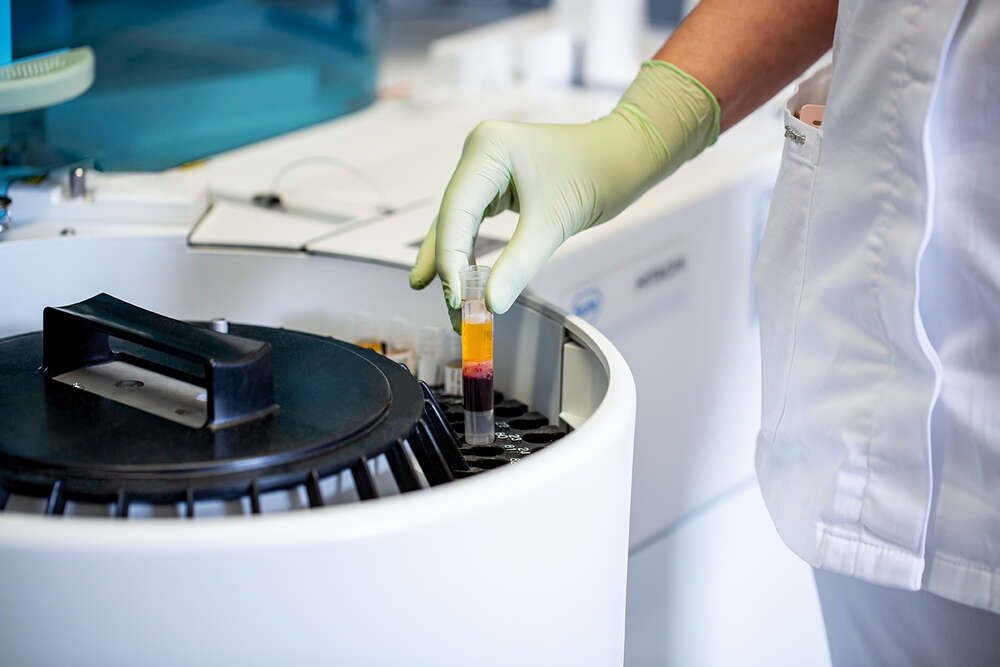 FOTOGRAFIE maximilian gottwald (FOTOGRAFIE maximilian gottwald)