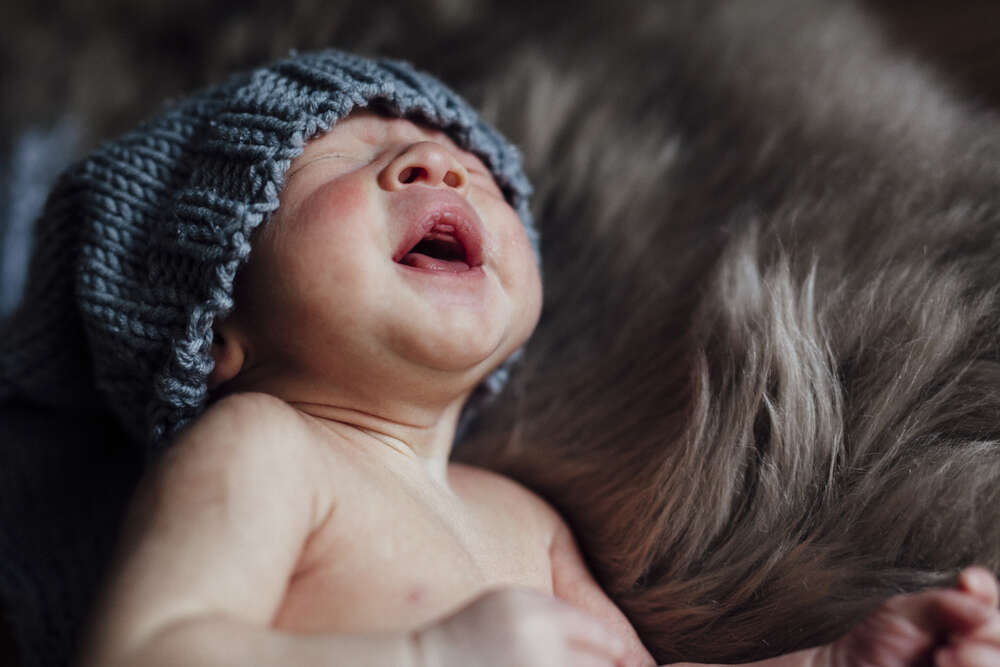 Neugeborenes (Little Big Moments Fotografie)