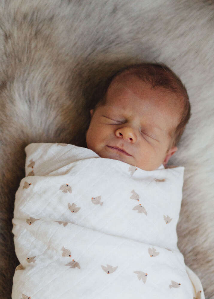 Neugeborenen-Fotografie (Little Big Moments Fotografie)