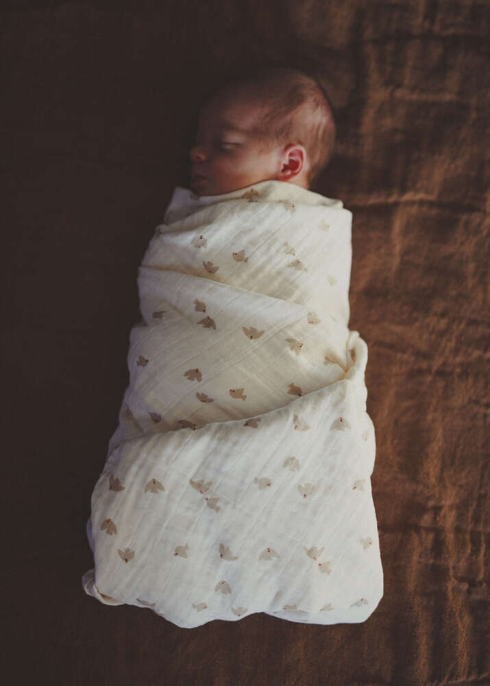 Babyfotografie (Little Big Moments Fotografie)