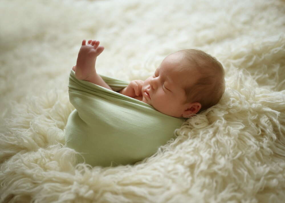 Michael Voigt PHOTOGRAPHY  (PHOTOGRAPHY)