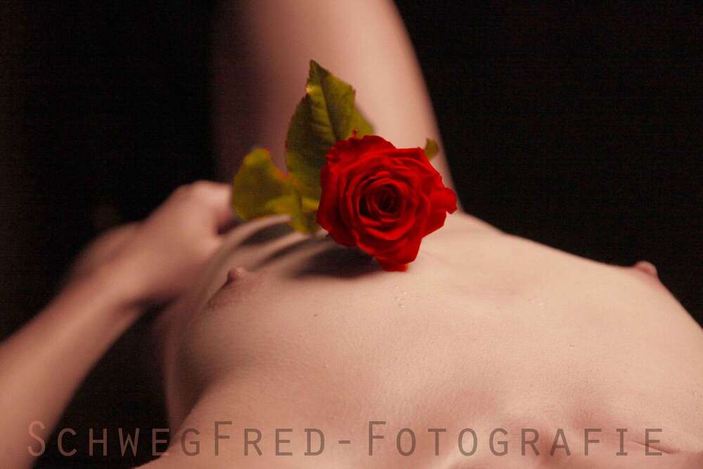 SchwegFred-Fotografie