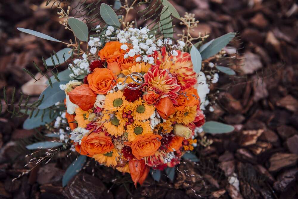 Blitzlicht by SaschPhotoART (Blitzlicht by SaschPhotoART)