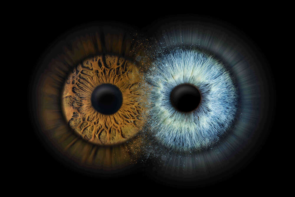 Iris-Fotografie (Felix Kästle - Foto + Video + Social Media)