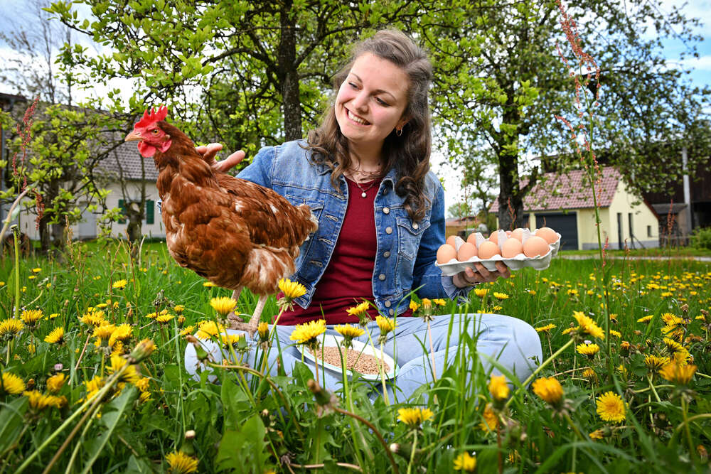 Felix Kästle - Foto + Video + Social Media (Felix Kästle - Foto + Video + Social Media)