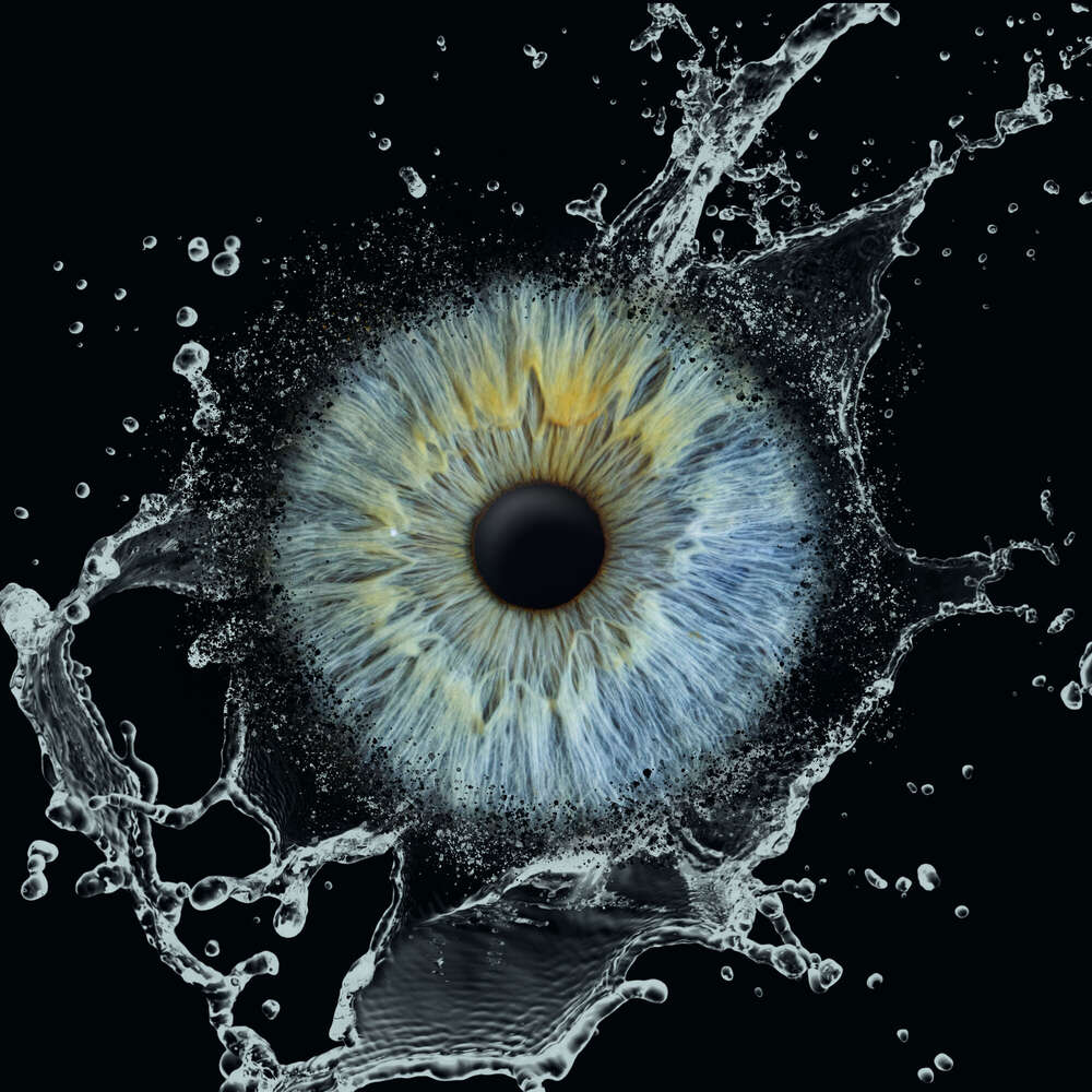 Iris-Fotografie (Felix Kästle - Foto + Video + Social Media)