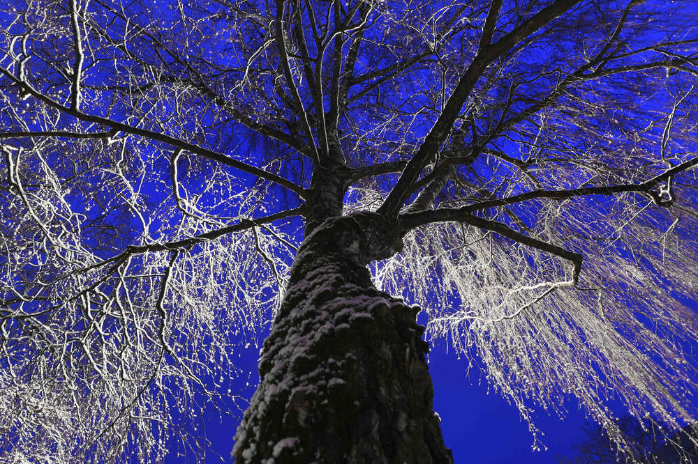 Felix Kästle - Foto + Video + Social Media (Felix Kästle - Foto + Video + Social Media)