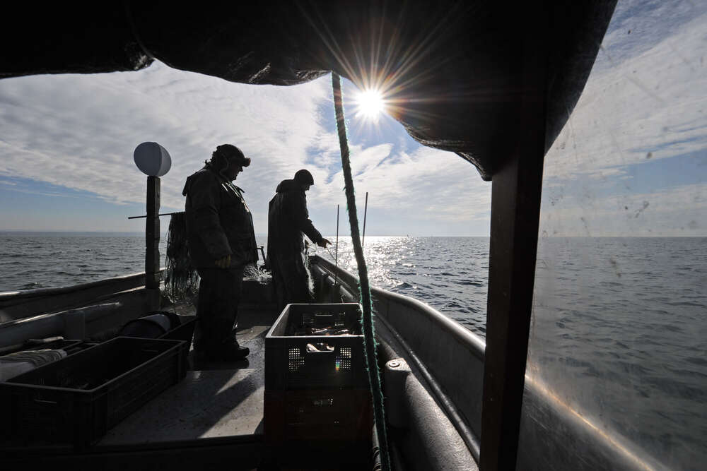 Felix Kästle - Foto + Video + Social Media (Felix Kästle - Foto + Video + Social Media)