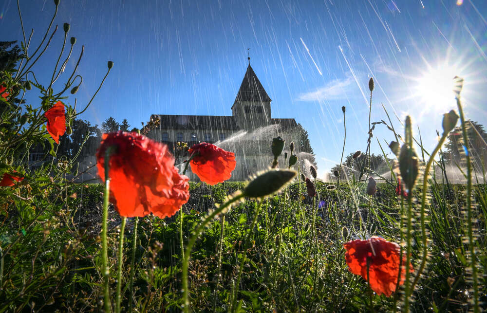 Felix Kästle - Foto + Video + Social Media