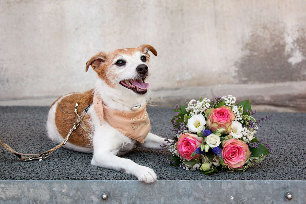 Foto Elvey (Foto Elvey)