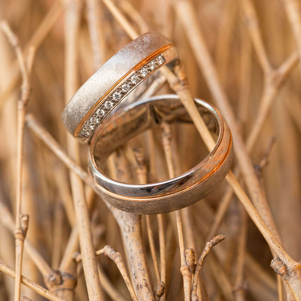 Foto Elvey (Foto Elvey)