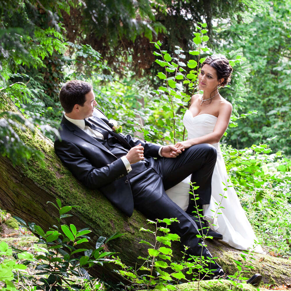 Foto Elvey (Foto Elvey)