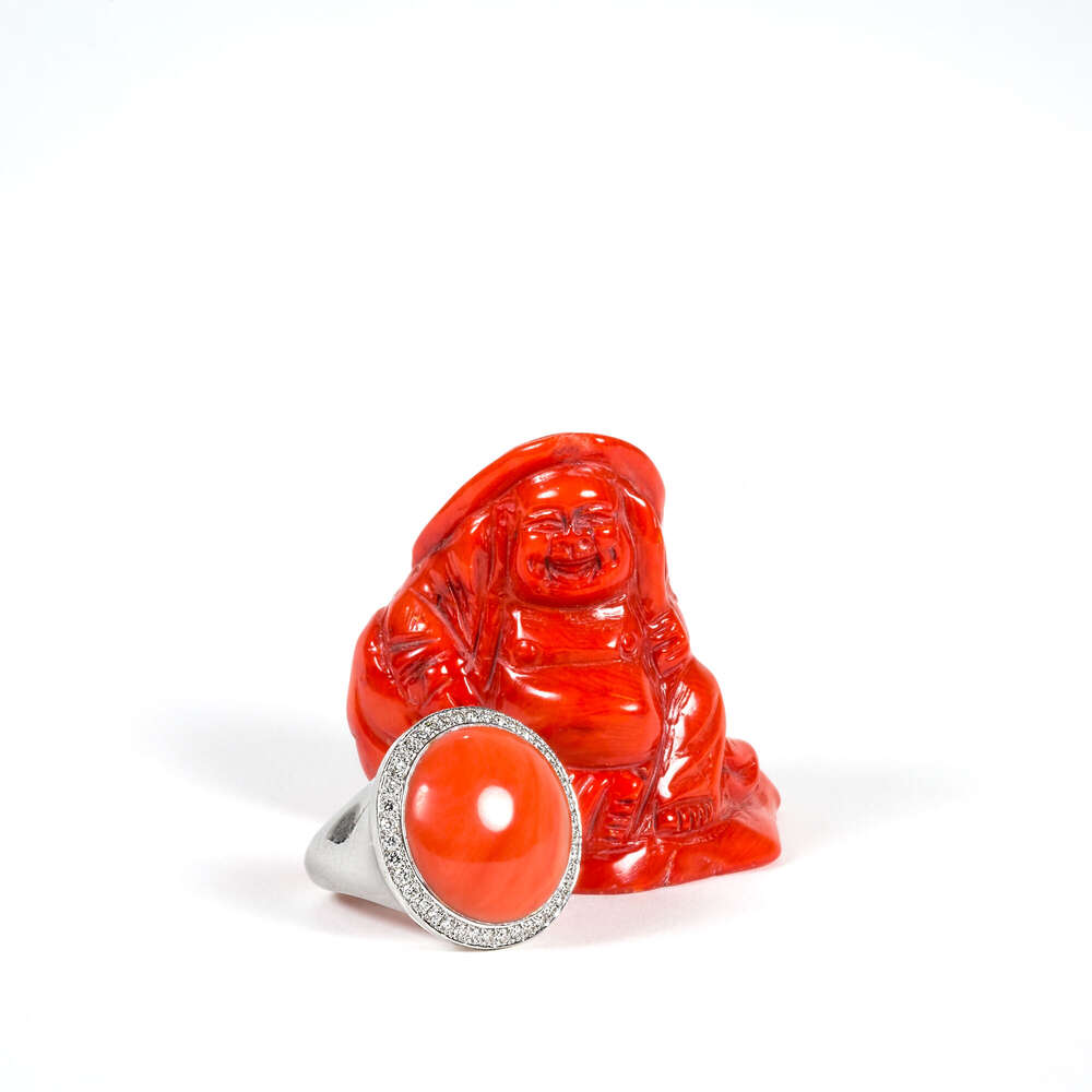 Foto Elvey (Foto Elvey)