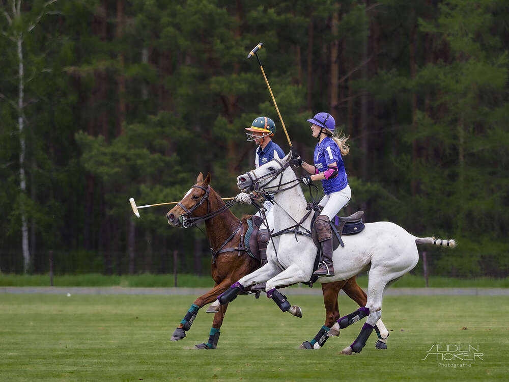 Seidensticker Fotografie