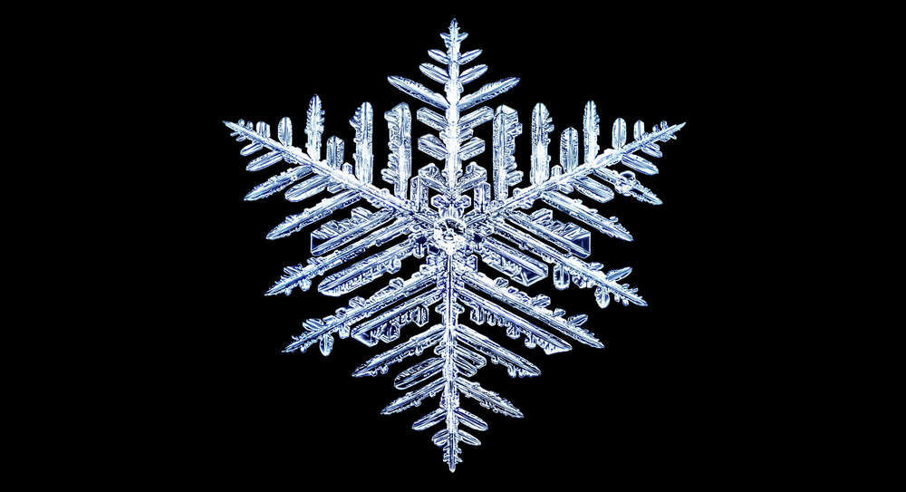 Schneekristall (MaxSimson.photos)