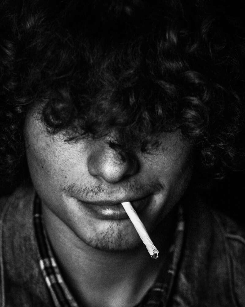 carina noebel (carina noebel)