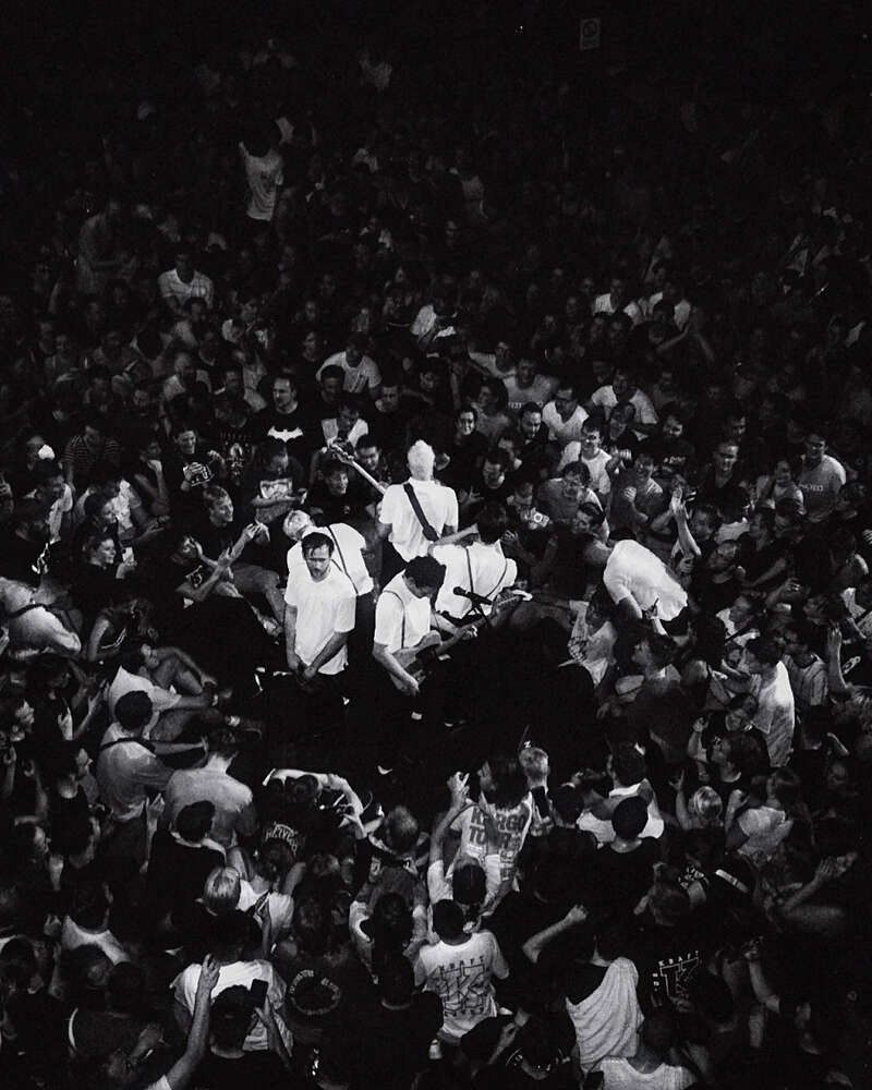 carina noebel (carina noebel)