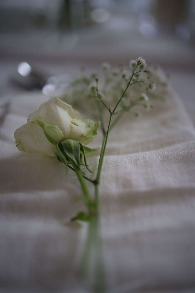 Pixelshift Prestige - Fotografie und Videografie (Pixelshift Prestige - Fotografie und Videografie)