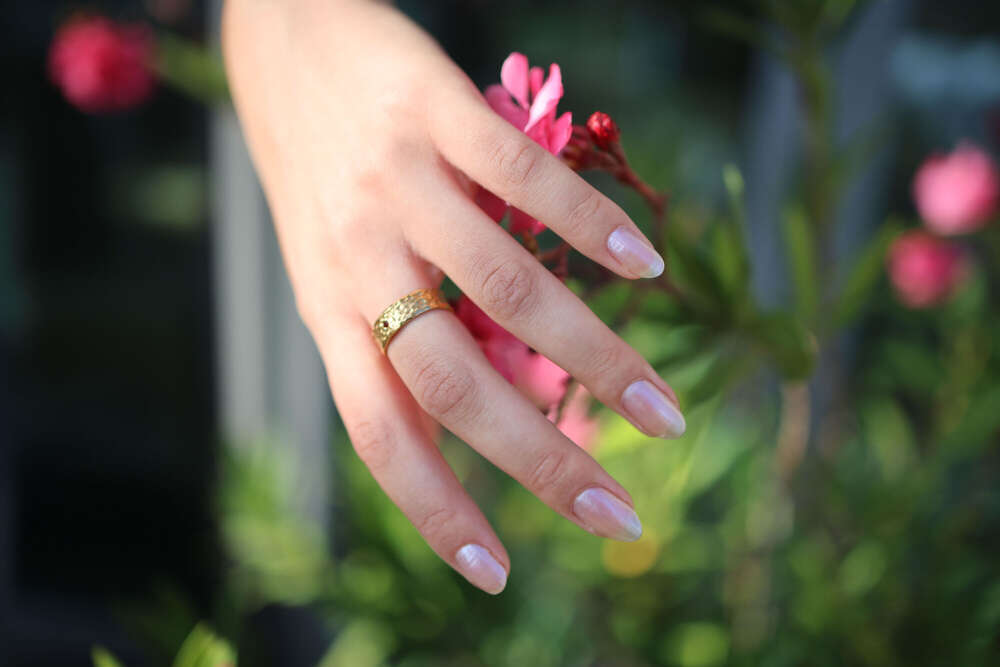 Pixelshift Prestige - Fotografie und Videografie (Pixelshift Prestige - Fotografie und Videografie)