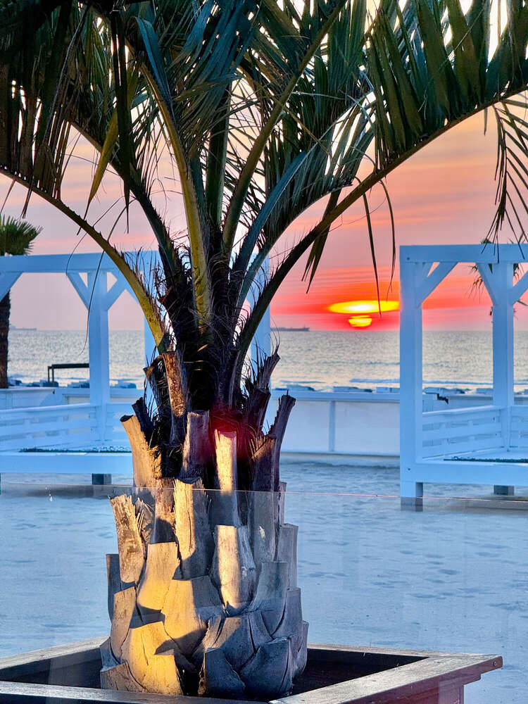 Pixelshift Prestige - Fotografie und Videografie (Pixelshift Prestige - Fotografie und Videografie)