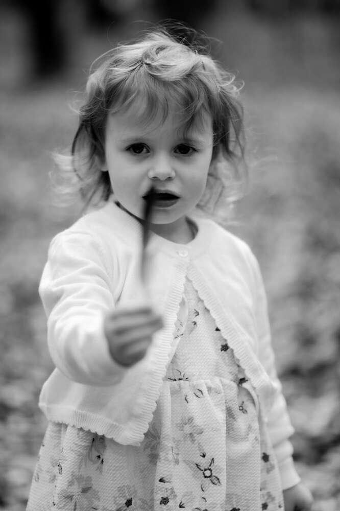 paint2graphy (paint2graphy)