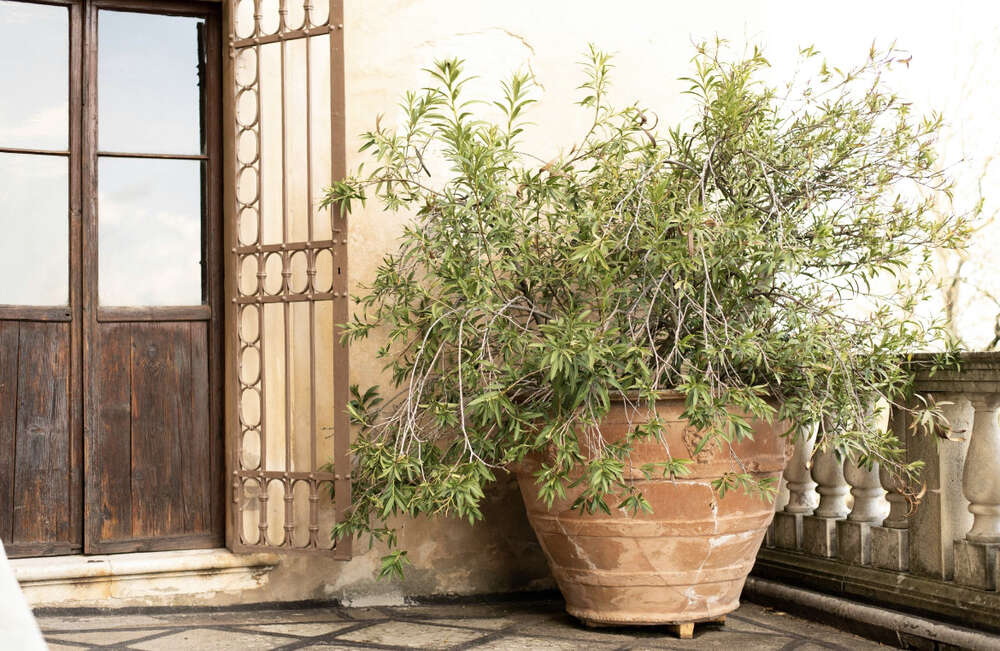 paint2graphy (paint2graphy)