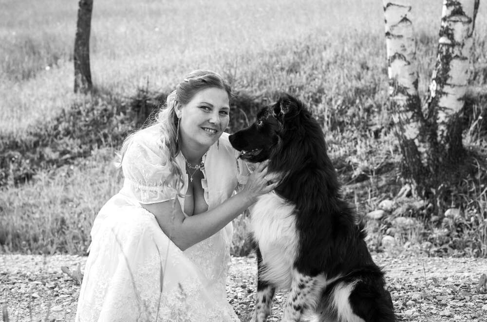 paint2graphy (paint2graphy)