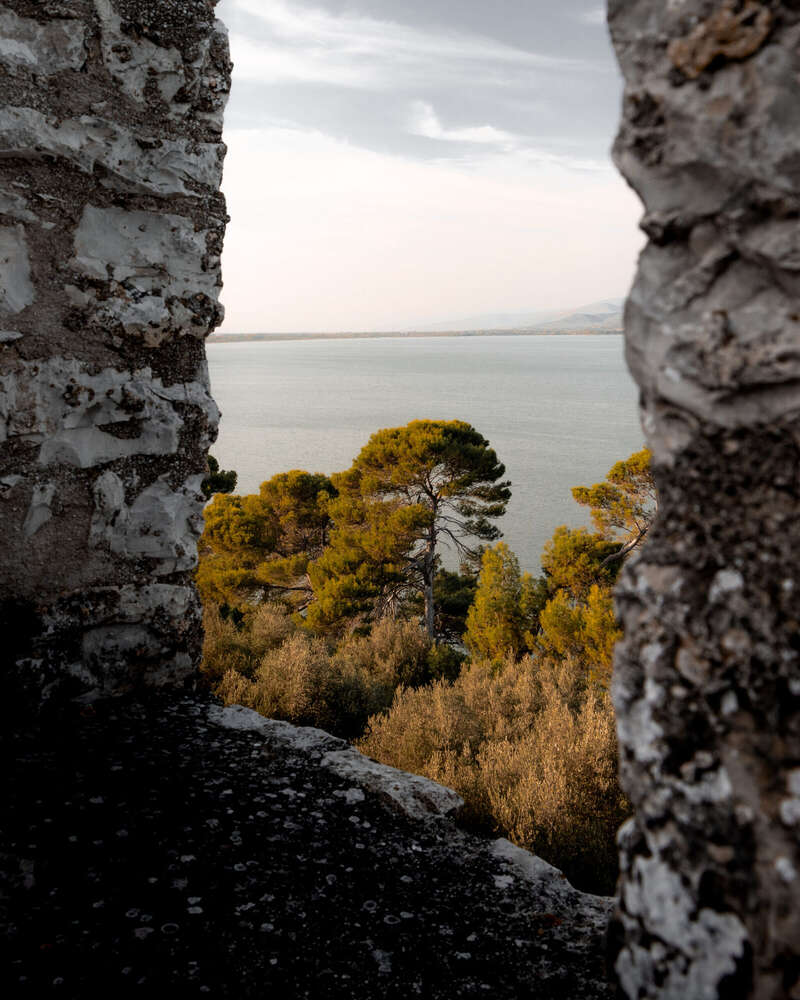 Blick auf den See (Timothy Morrell)