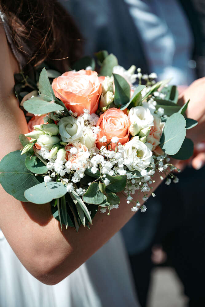 Pfefferproduktionen (Pfefferproduktionen)