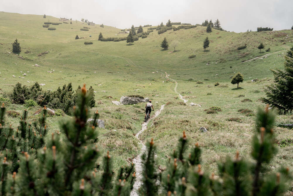 AMOment Imaging (AMOment Imaging)