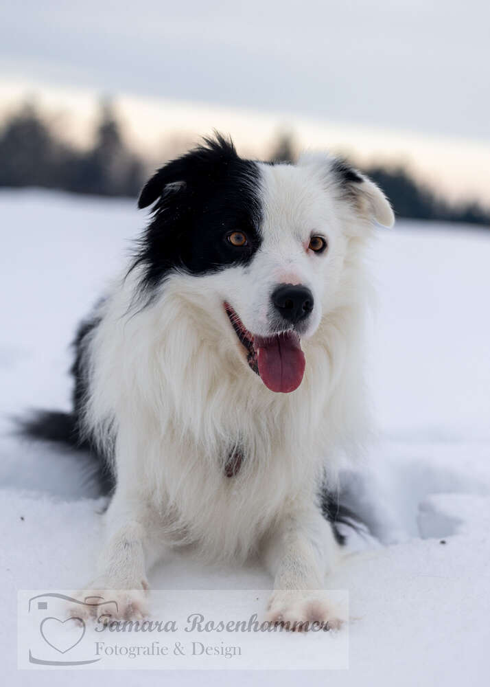 Veit (Tamara Rosenhammer)