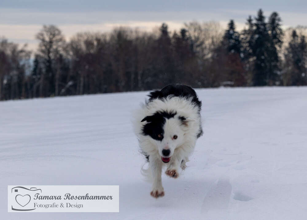Winterspa&szlig; (Tamara Rosenhammer)