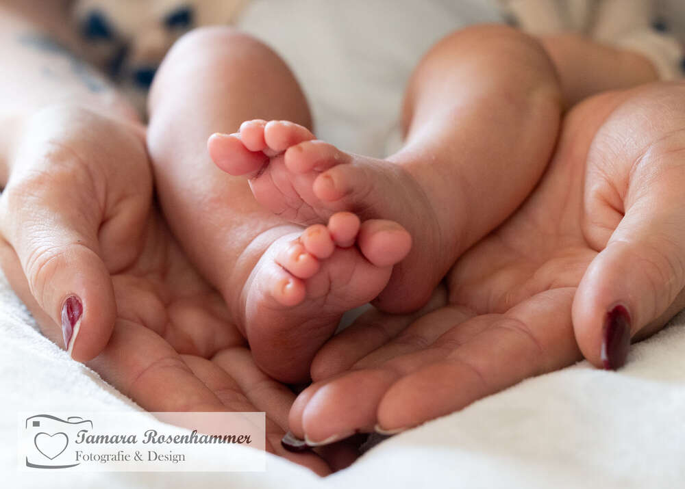 Homeshooting (Tamara Rosenhammer)