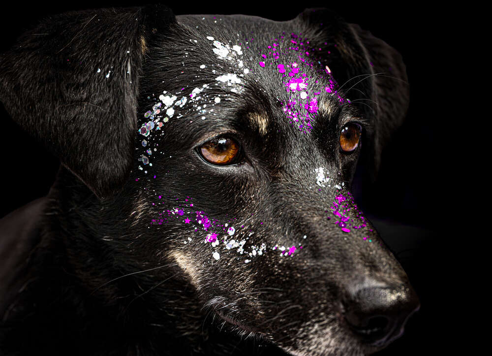 Glitzer (Eileen Rothe)