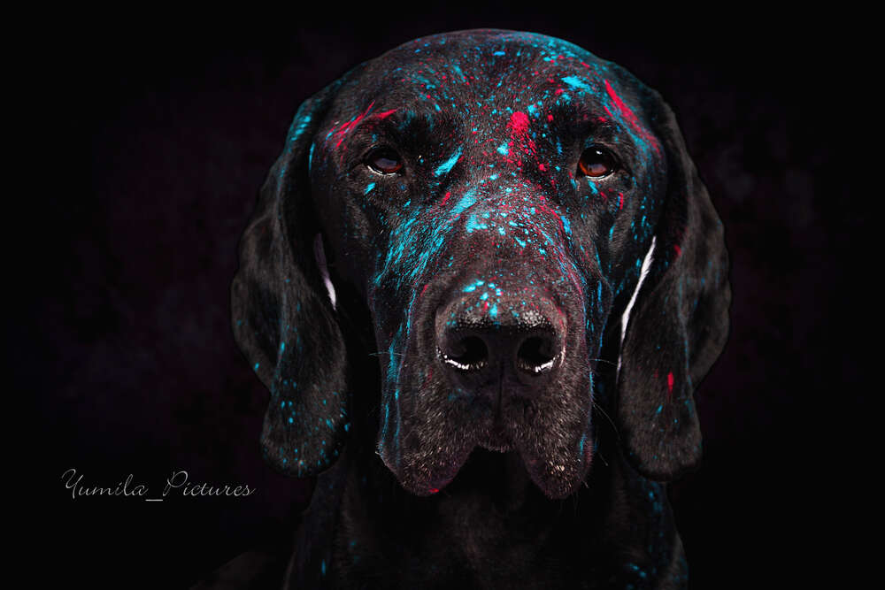 Wir bringen etwas Farbe ins Dunkle (Eileen Rothe)