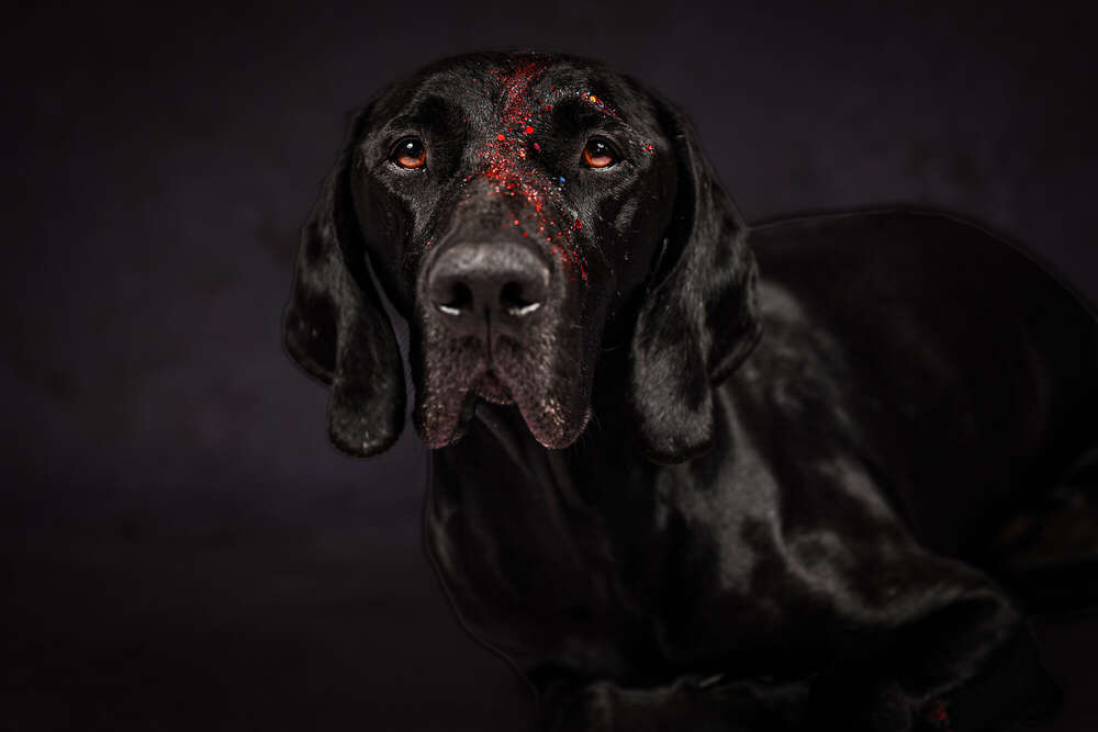 Glitter (Eileen Rothe)