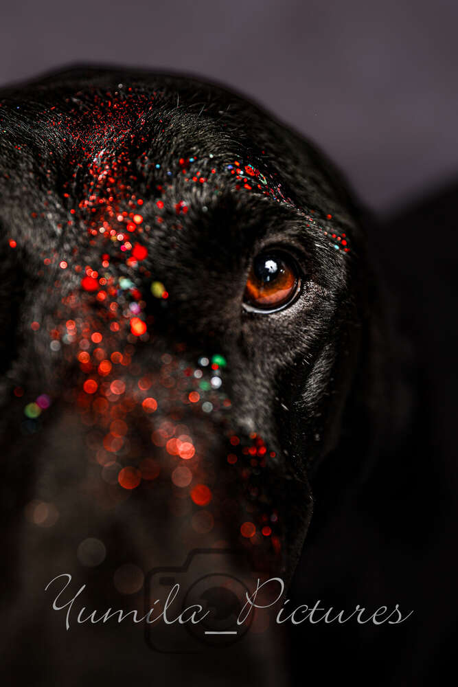 ein bisschen Glitzer hat noch nie geschadet (Eileen Rothe)