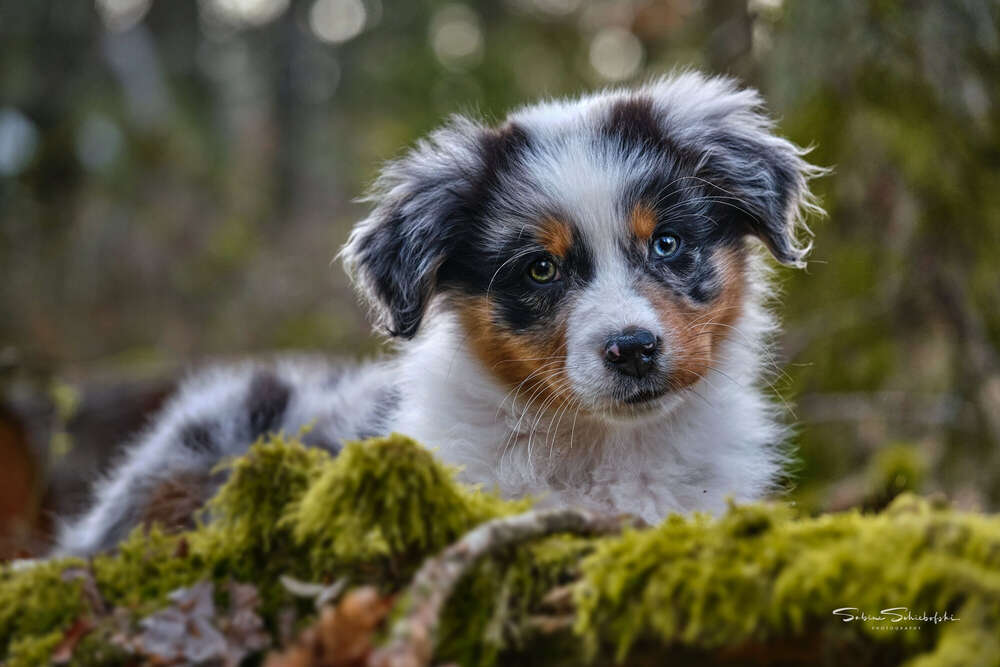 "May" (One Moment.Please)